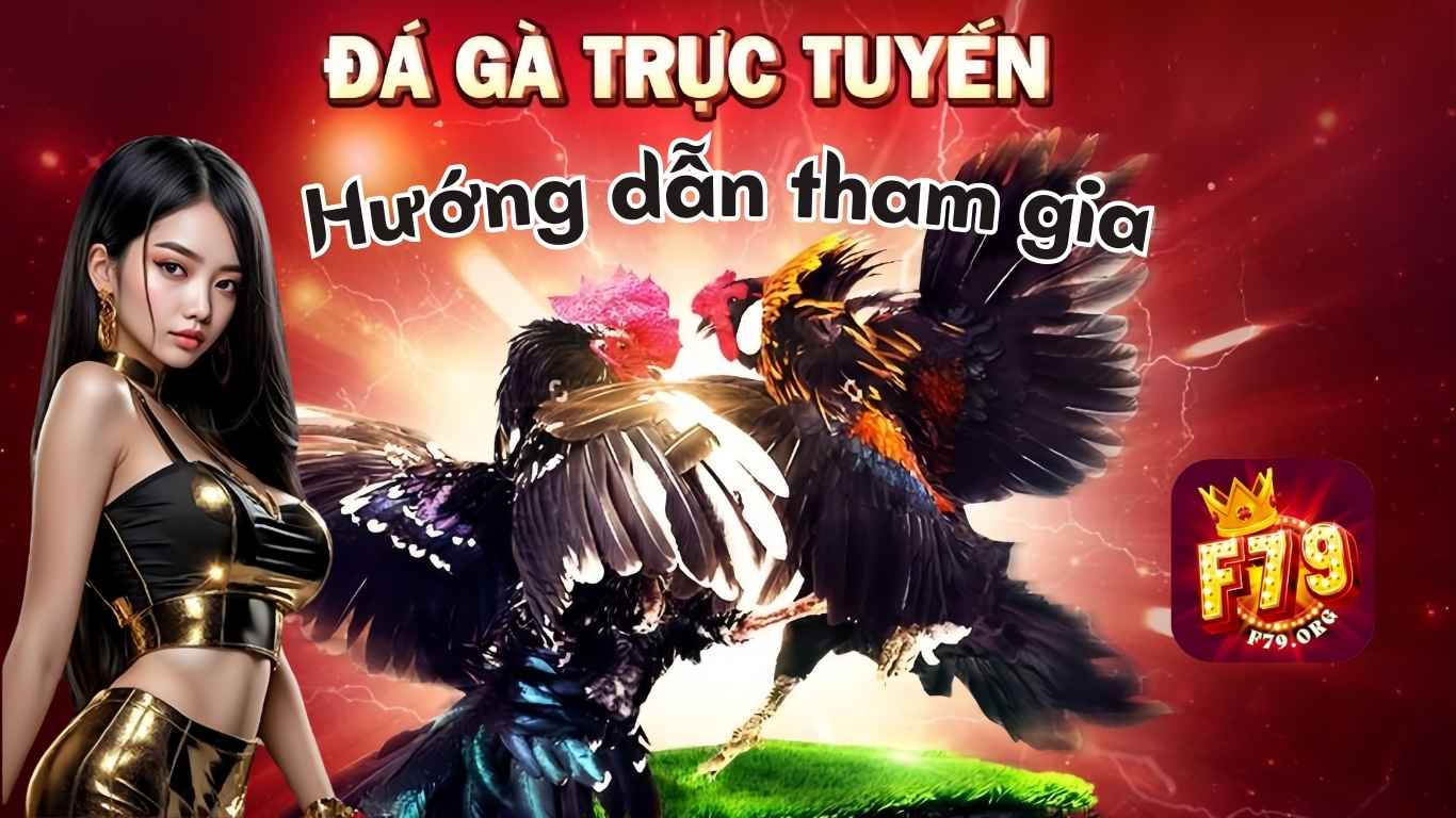 Hướng dẫn tham gia cá cược đá gà tại F79 
